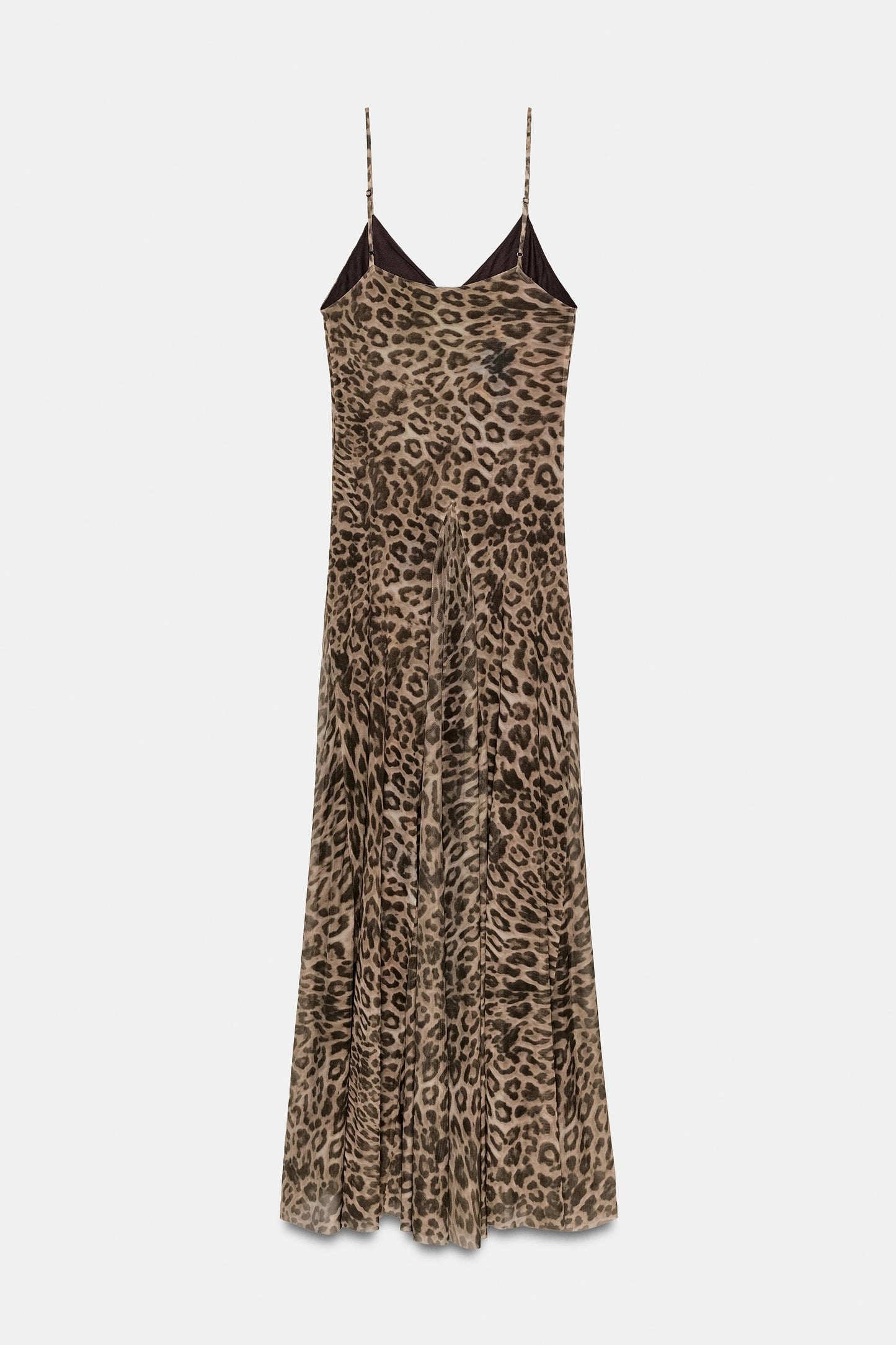 #302217, Leopard